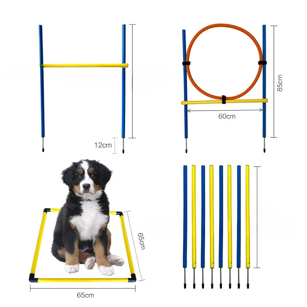 Dog Trainer Agility Training Equipment