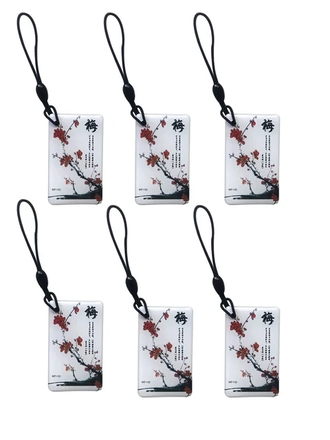 ID+IC UID 13.56MHZ 125KHZ T5577 EM4305 RFID Changeable Rewrite Rewritable Composite Card Dual Chip Frequency 2Pcs 1