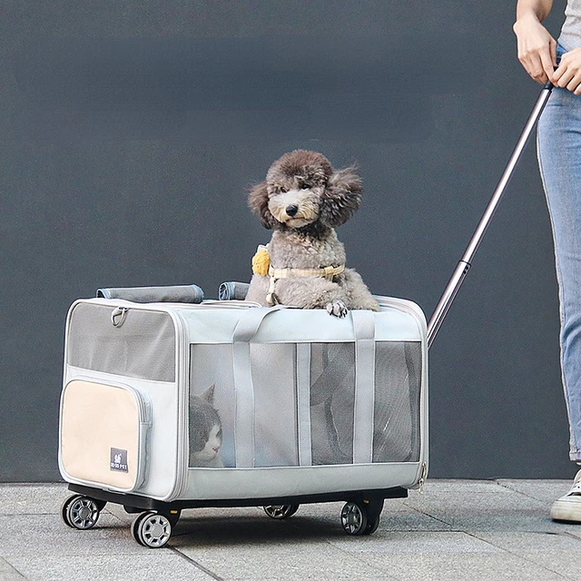 Chariot à roulettes universelles détachables pour animaux de compagnie