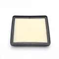 Air Inlet Filter