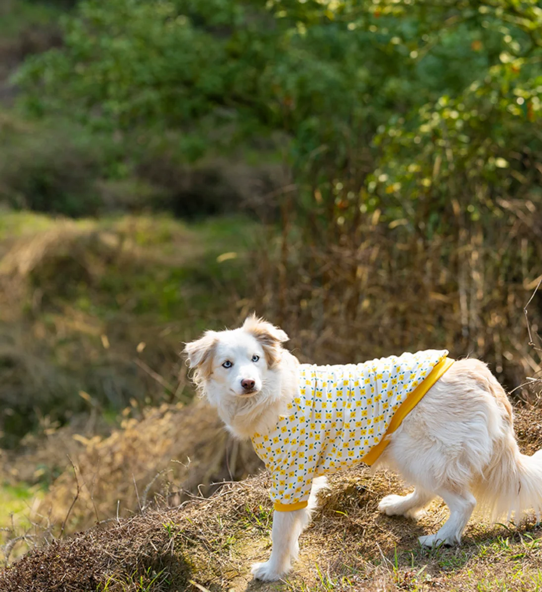 Thin Breathable Cotton Pet Pullover Clothes - PeticaDeals