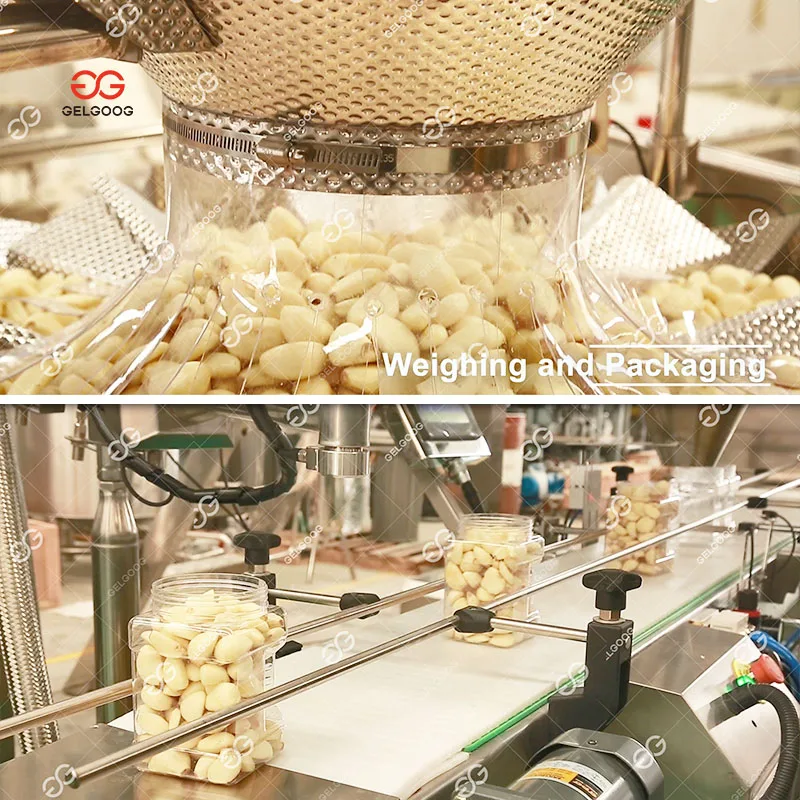 High Efficiency Automatic Garlic Breaking Peeling Sorting Machine Garlic Cleaner Machine Garlic Washing Machine For Sale 3