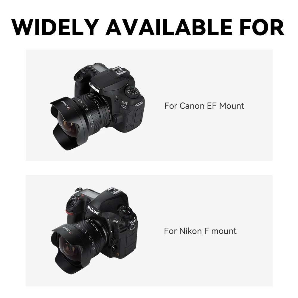 Photography Canon 77d Vs Nikon D7500 Nikon D7500 Nikon Z50 Dxomark