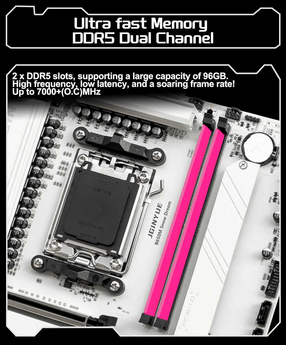 dsc-products