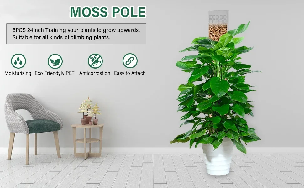 Description Picture 2 of itemMoss Pole Plastic Plant Stand Indoor Climbing Plants Guardian Tutors Pot Moss Stick For Plants Growth Garden Support Accessories