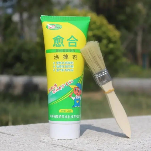 Fa Sebtömítő 250 G Seb Metsző Tömítés Kefével Bonsai Sebgyógyító Szer Növény Metszés Gyógyító Paszta Fák Oltás