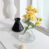 1pcs Glass Vase,Seed Starter Vases, Glass Avocado Seed Avocado Garden Aqua Culture Vases 2
