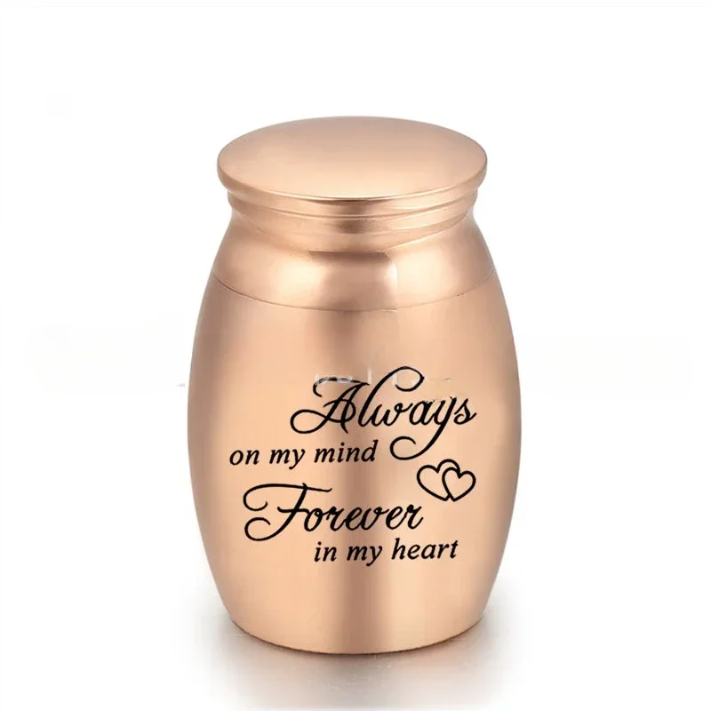 Engravable Mini Cremation Urns for Pet Cat Dog / Human Ashes Casket Funeral Loss of Love Stainless Steel Cremation Urn Jar 1