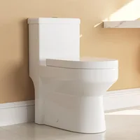 Small Compact One Piece Toilet, Dual Flush Toilet with Soft Closing Seat, 0.8/1.28 GPF High-Efficiency, White Toilet 1