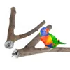 2Pcs Wood Parrot Bird Stand Tree Branch Rack Hanging Toys Squirrel Hamster Branch Perches Chew Bite Toys Stick 1