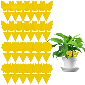 Trappole per insetti gialle da giardino per eliminare i parassiti, piccoli insetti volanti, piccoli insetti neri in volo