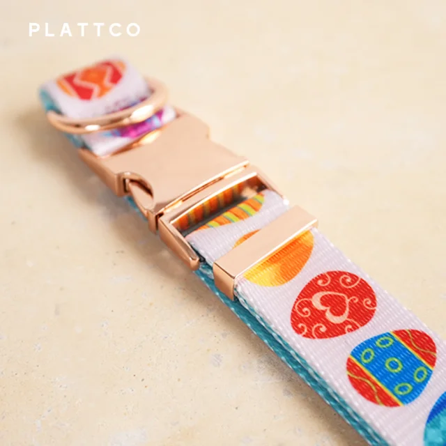 PLATTCO의 해피 이스터 개 칼라로 귀여운 친구를 돋보이게 하세요!