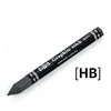 HB/2B/4B/6B Woodless Hexagonal Graphite Stick Pencil Bold Black Charcoal Art Student Sketch Painting Graphite Pen Art Supplies 6