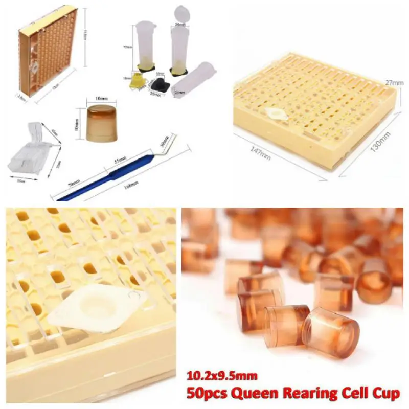 1set bee queen rearing king new plastic cells cages room cups cell cage cup bees tools beekeepers Kit