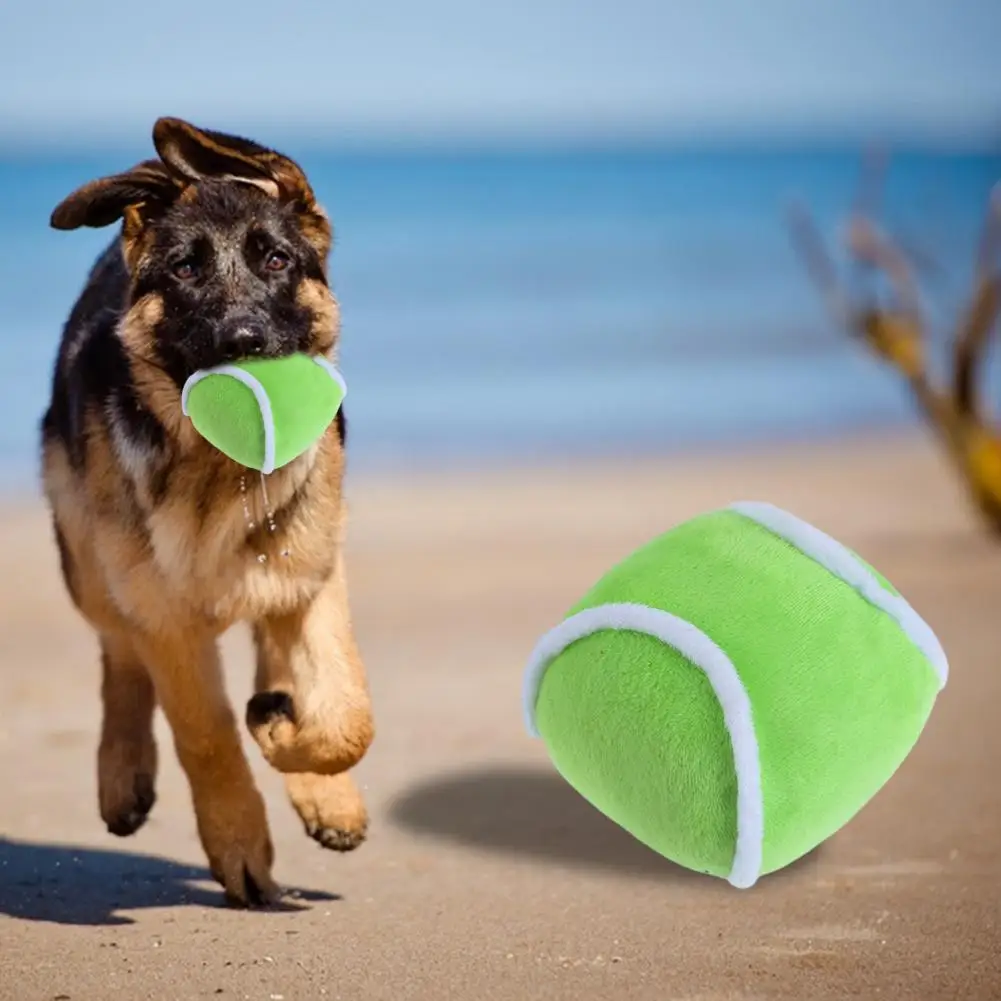 Рисунок 3 - Жевательная игрушка для собак