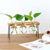 Desktops Plant Terrariums with Wooden Stand Propagations Stations Elegant Clear Glass Bulb Vase Planter for Hydroponics 1