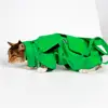 Multifunctional Breathable Cat Carrier Bag Portable Double Shoulder Anti-Scratch Bite Fixed Foldable Injection Pet Bag 2