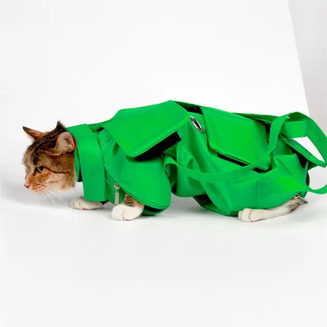 Multifunctional Breathable Cat Carrier Bag Portable Double Shoulder Anti-Scratch Bite Fixed Foldable Injection Pet Bag 2
