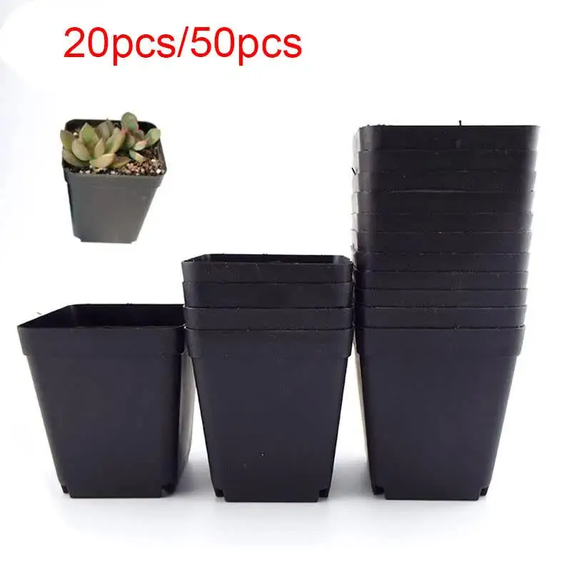 AB Tools 60 Vasi Quadrati In Plastica 7 Cm - Mini Vasi Per Piante Grasse, Talee E Fiori, Con Fori Di Drenaggio