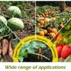 Plant Fixing Clips Plastic Farming Fork for Stolon Fixing  Fastening Fixture Garden Strawberry Seedling Tomato Support Tools 6
