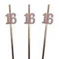 Rosegold 16