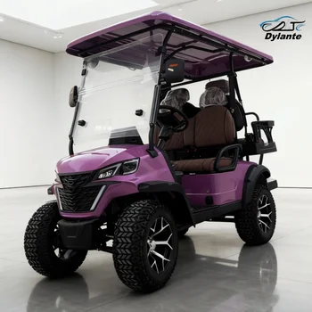 China Best Lifted 72V Lead-Acid Battery Lithium Battery Optional Powered Golf Buggy High Popularity Falcon Electric Golf Cart