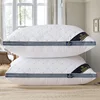 2 Pcs Hilton Pillow Support Cervical Vertebra To Help Sleep Single Home Does Not Collapse Pillow Core 48x78cm 5