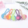 Pet Dog Toys for Large Small Dogs Toy Interactive Cotton Rope Mini Dog Toys Ball for Dogs Accessories Toothbrush Chew Puppy Toy 5