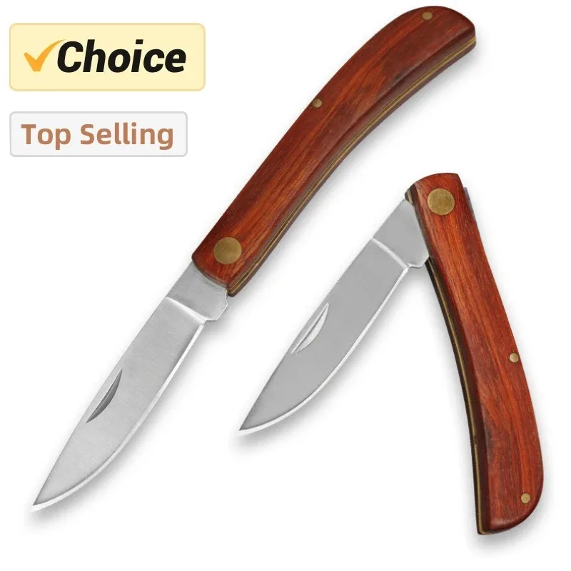 Kitchen Knife, Folding Knife, Mini EDC Pocket Knife for Fruit, BBQ, Meat