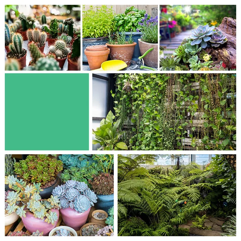 Slide image e6065d065b84458098c790a21fecac96