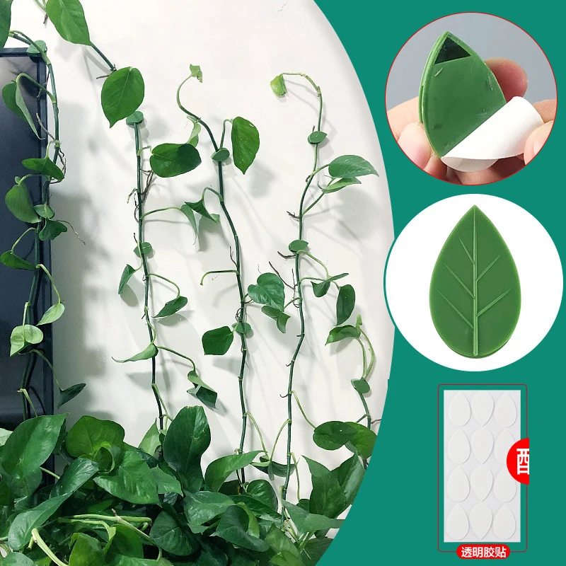Invisible Plant Climbing Wall Fixture Rattan Vine Bracket Fixed Buckle Leaf Clips Traction Holder Garden опора для растений plant climbing support