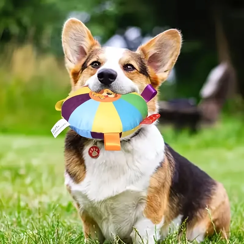 Pet Plush Toy, Dog Frisbee Toy, Colorful Retractable Design, Durable Chew Toy,Suitable for Various Dogs,Interactive Training Toy