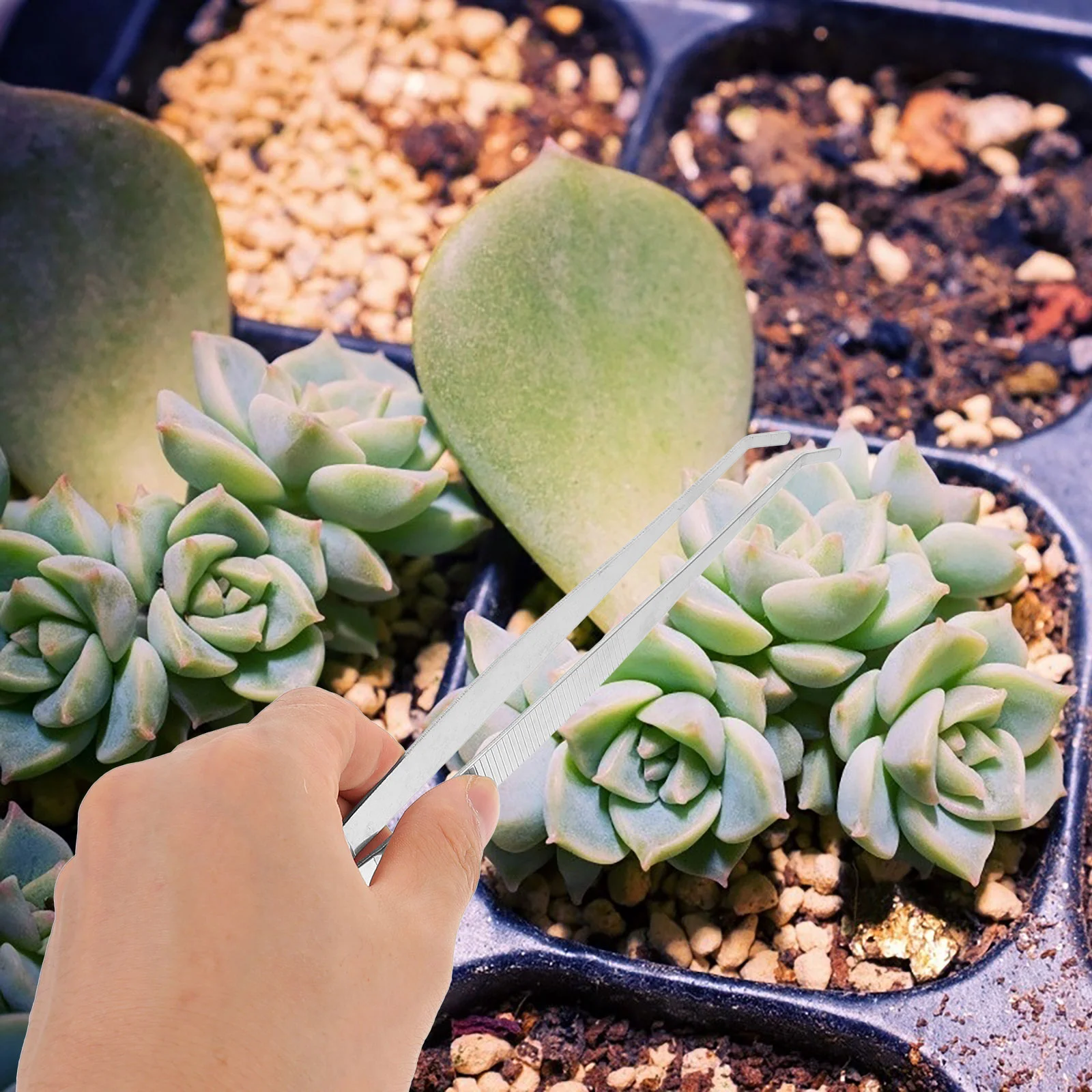 스테인레스 스틸 다육 다육 바 아이스 클립, 정원 트위저, 길이 4 개