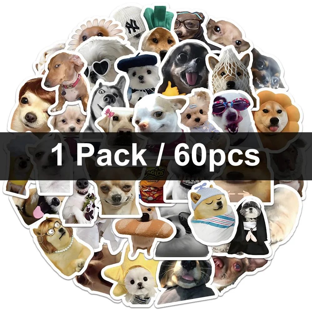 60PCS