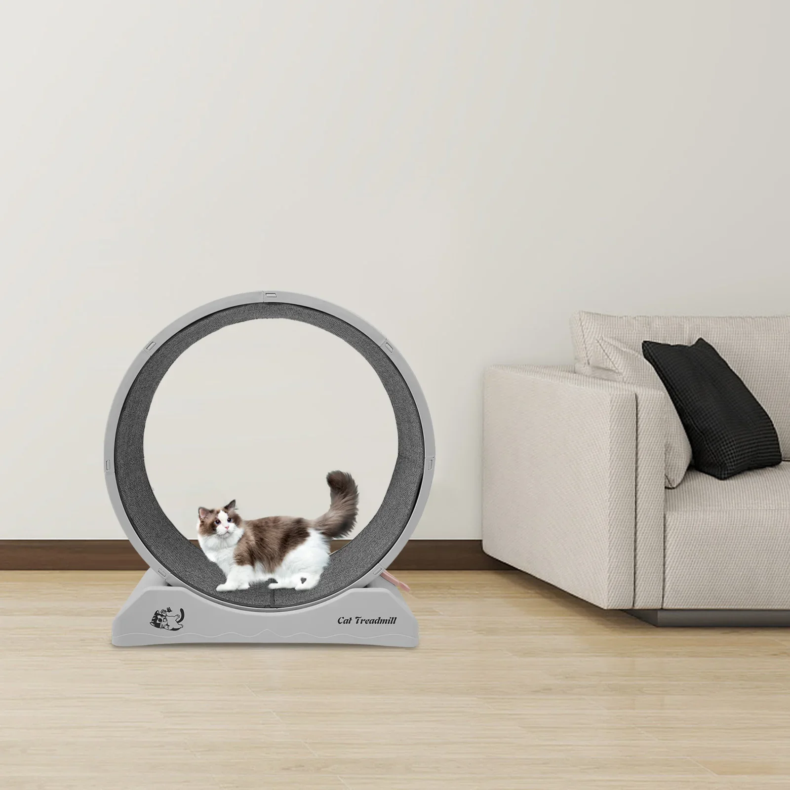 Katzenlaufrad für Indoor-Training, 31,5-Zoll-Fitnessrad, kratzfester Teppich, Gesundheit und Wellness für Katzen und kleine Haustiere – Detail 1