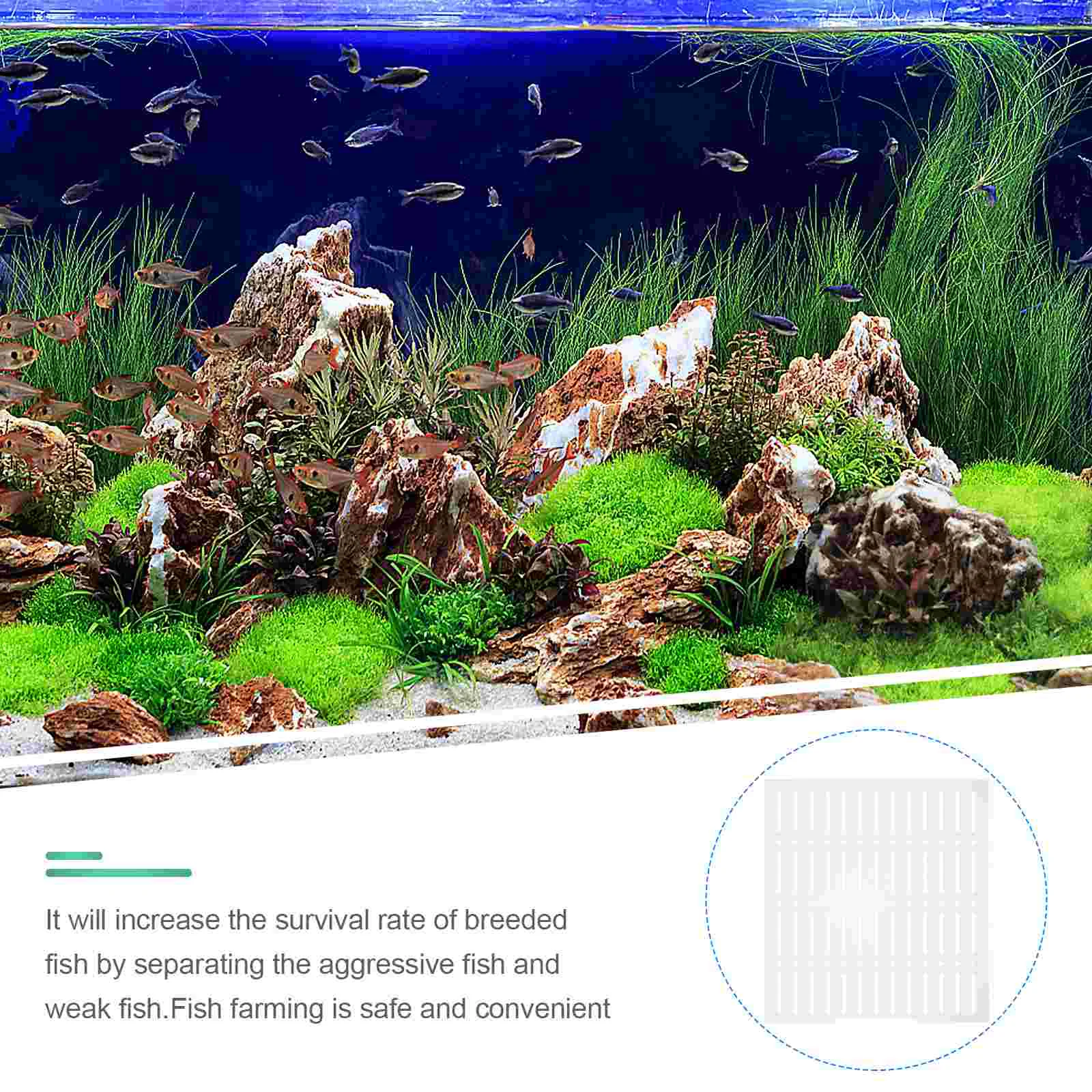 Fish Tank Isolation Board Plate Tool Divider Aquarium Clear Dividers Acrylic Separation aquarium divider board