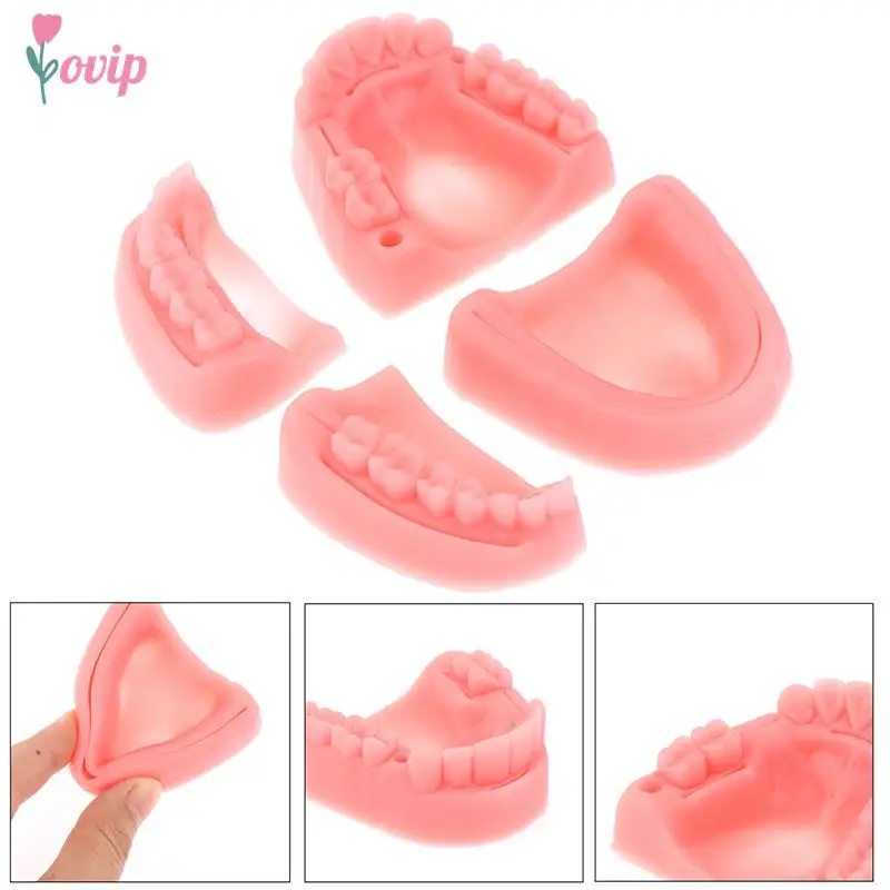 치과 시뮬레이션 구강 봉합 모델, 잇몸 봉합 교육 장비, 4 개