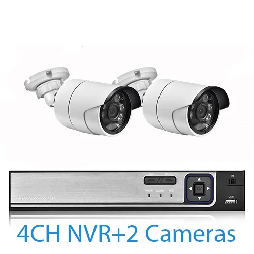 4CH NVR and 2Cameras