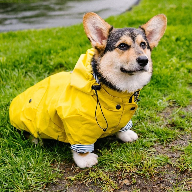 ペット犬レインコートプードルビションシュナウザーウェルシュ コーギー服柴犬サモエド犬服防水コートジャケット衣装 犬用のコート ジャケット Aliexpress