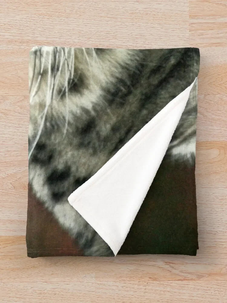 �����ĵ� 001 ������ ���, �ε巯�� ���� ���� ����, ������ �ܿ� �ڽ�����, �ִϸ��̼� ħ�� Ŀ�� ���