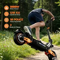 Trottinette Électrique  1000W, Batterie 48V 15.6Ah, 55 km Autonomie, Pliable, Pneus 10" Tout-Terrain, Freins à Disque 6