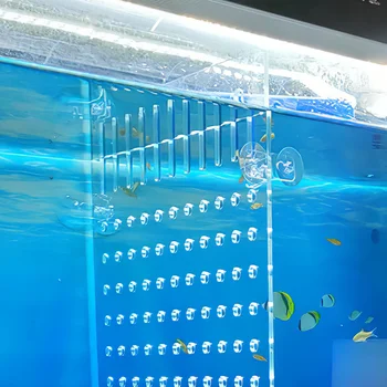 Acrylic Fish Tank Divider 1
