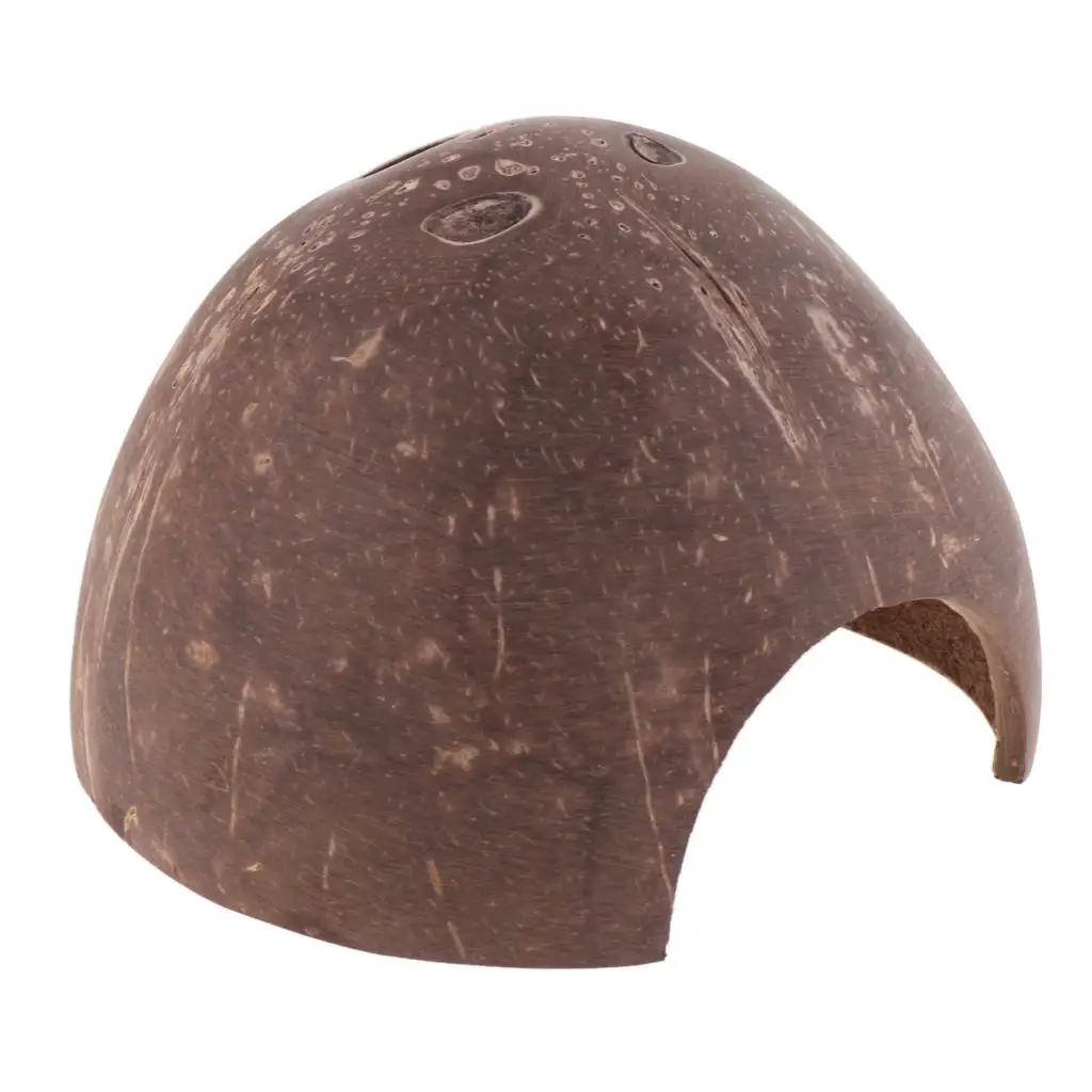 Natural Hut-Non-, Coconut Reptile Hideouts, , Aquarium Fish