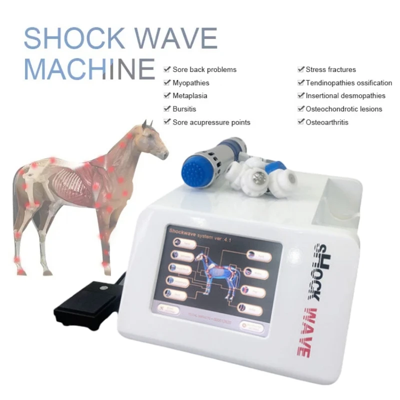 Eletromagnetic Shockwave ESWT For Vet Horse Relaxation Horse Pain Relief Shock Wave Therapy Machine