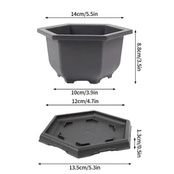 Elegant Rectangular Purple Clay Look Flowerpot for Outdoor Garden and Bonsai Display (Hexagonal S and tray)