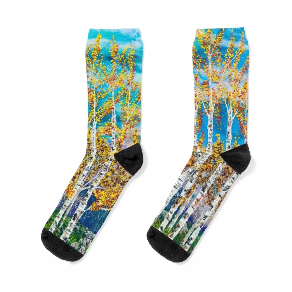 

Носки Aspens, рождественские женские носки Кроссфит, мужские носки