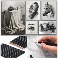 14Pcs/Set Drawing Sketch Pencils Set Wooden Professional Art Supplies HB 2B 6H 4H 2H 3B 4B 5B 6B 10B 12B 1B Painting Stationery 5