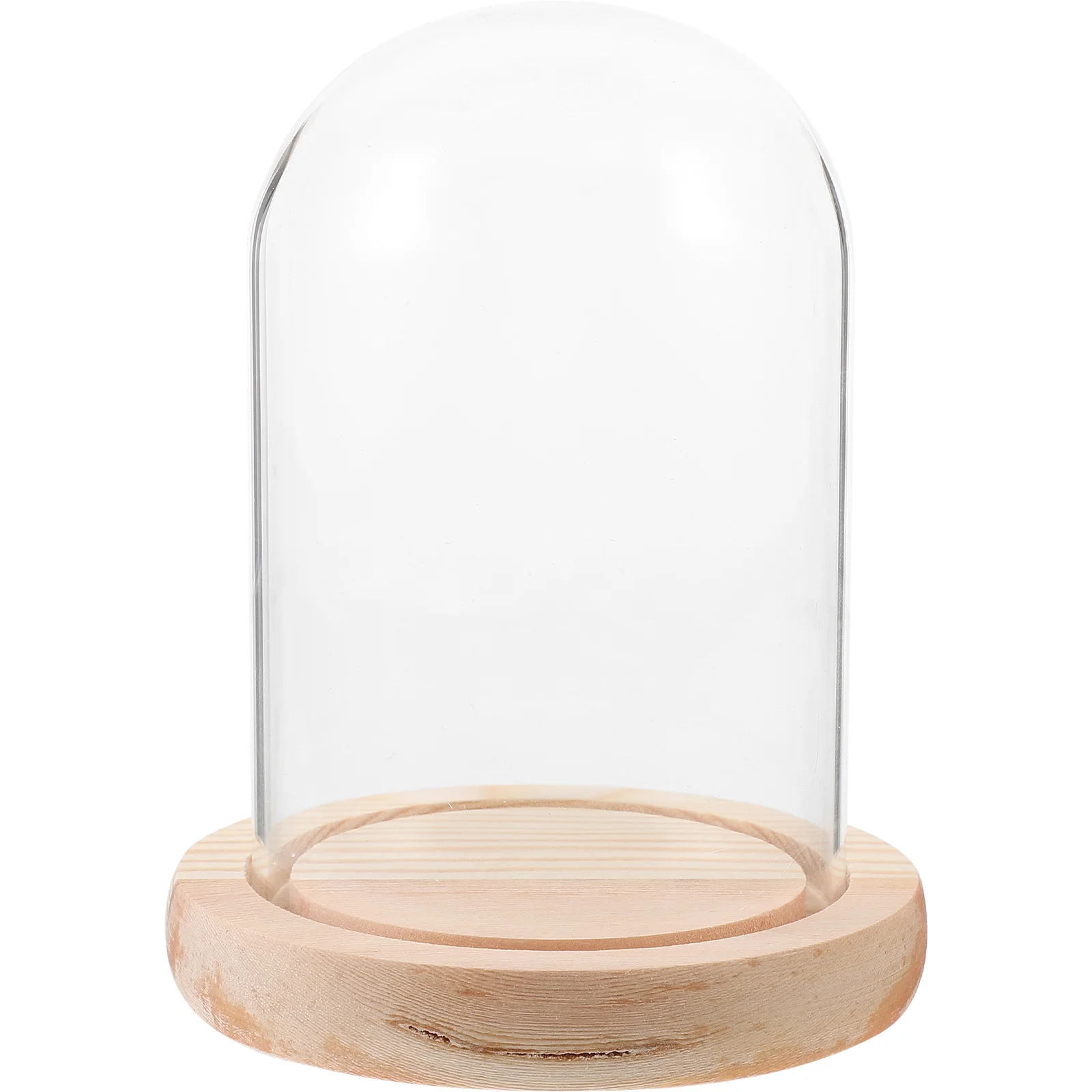 

Eternal Flower Glass Cover Dust Transparent Micro Landscape Display Desktop Ornament (8*12 Column + Log Flat Bottom) Dome