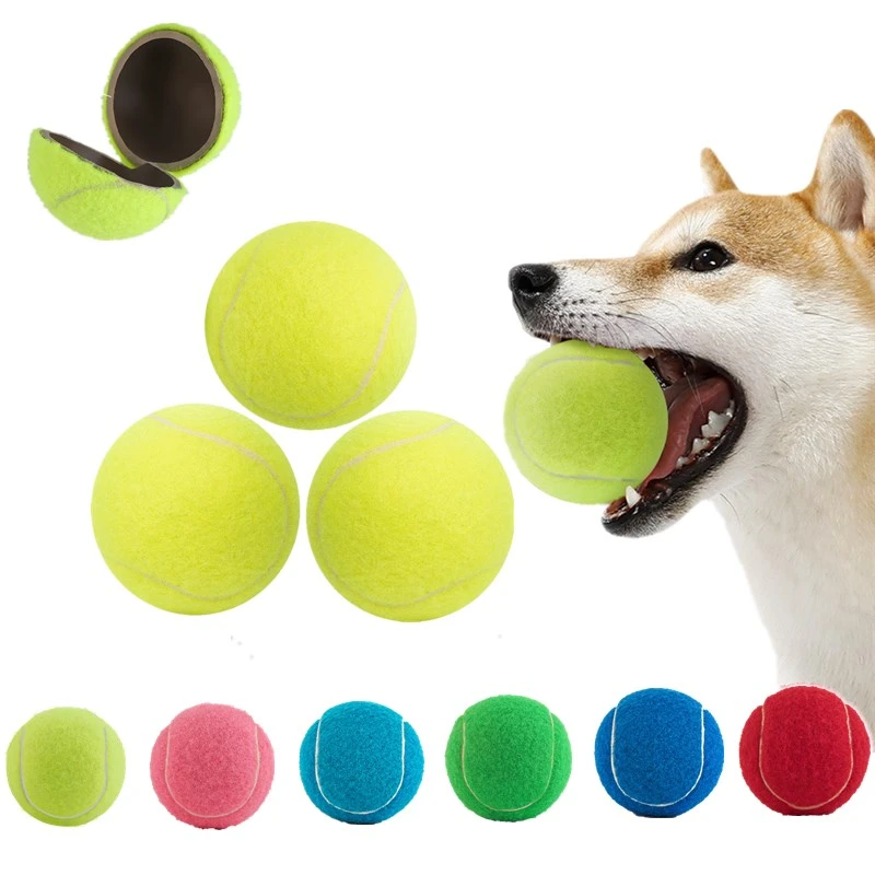 What Should I Do If My Dog Eats A Tennis Ball