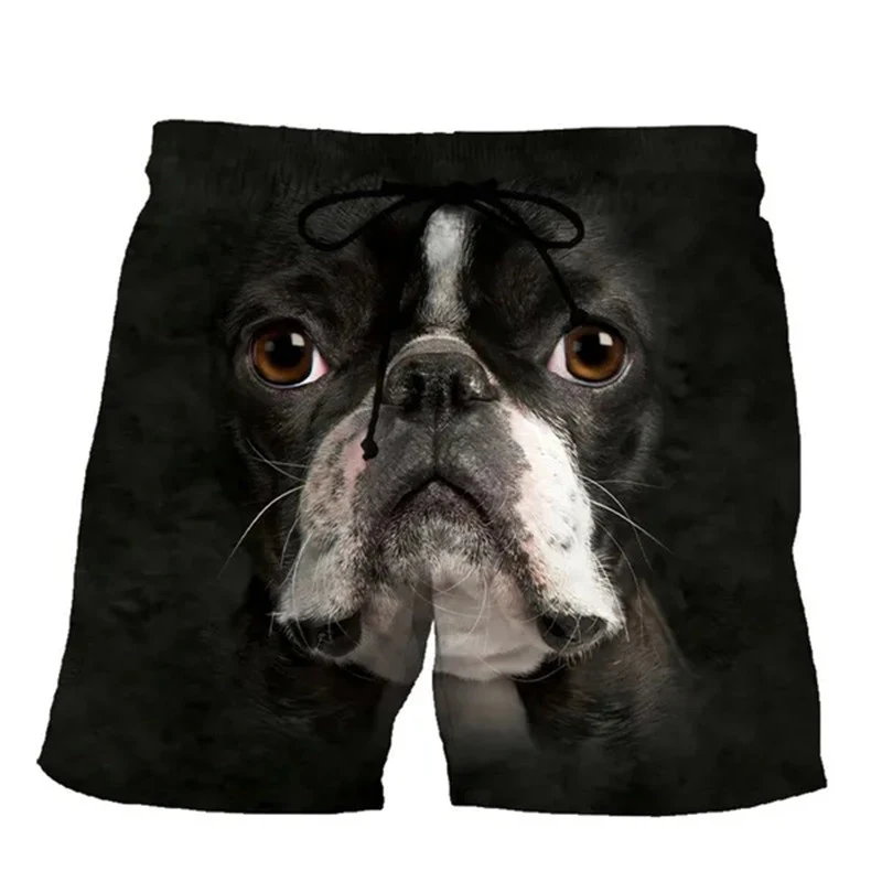 New Funny Animals Dog Hawaiian Beach Shorts Cute Pets 3D Print Men Surfing Board Shorts Oversized Swimwear Trunks Kids Clothing 3